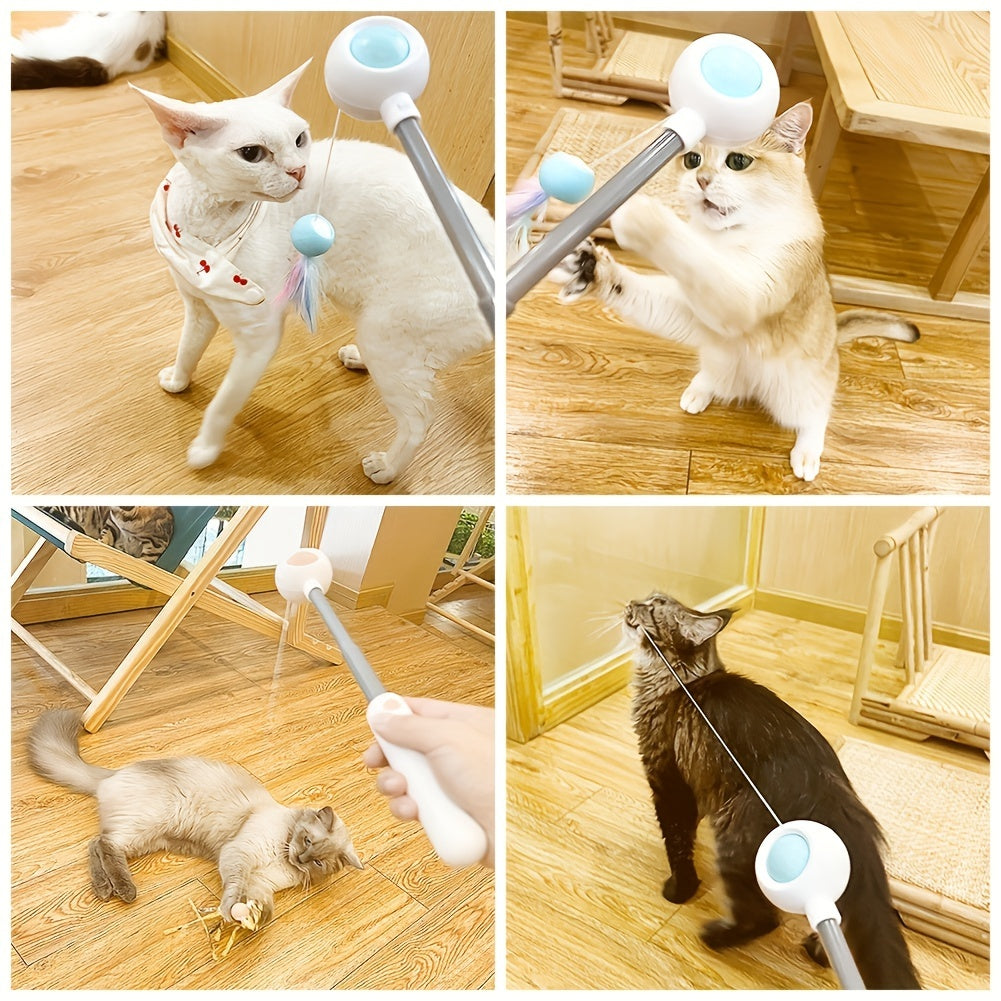Vier foto's van katten die met de uittrekbare kattenteaser spelen