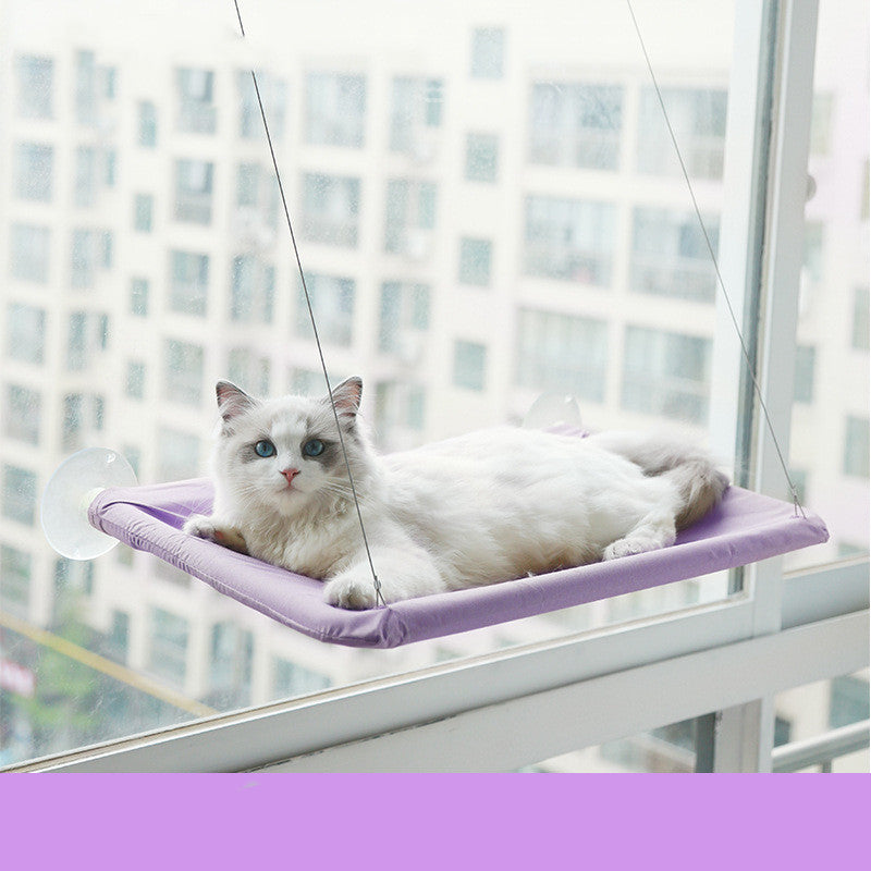 Ragdoll kat ligt in de paarse raamhangmat met zuignappen aan het raam