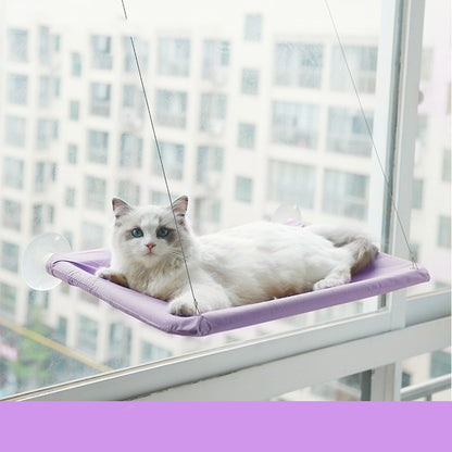 Ragdoll kat ligt in de paarse raamhangmat met zuignappen aan het raam