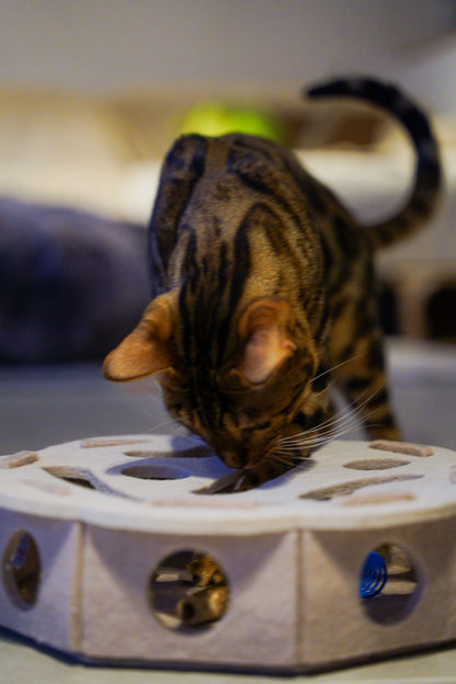 Cayenne zoekt een verstopt speeltje in de Vilten Kattenpuzzel