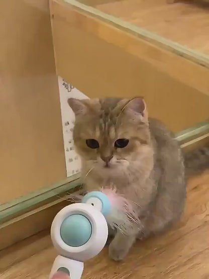 Video van een kat die met de uittrekbare kattenteaser speelt